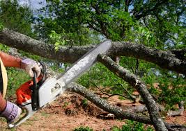 Dickson, TN Tree Services Company